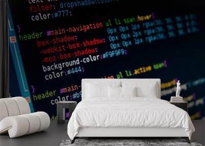 Programming code abstract screen of software developer Wall mural