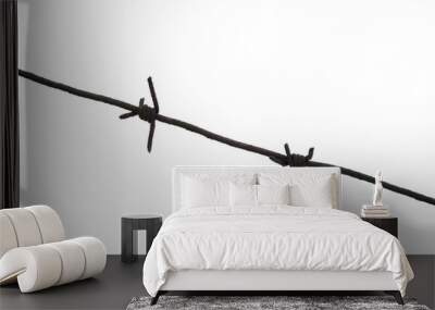 The iron thorn. Fence metal wire. White background Wall mural