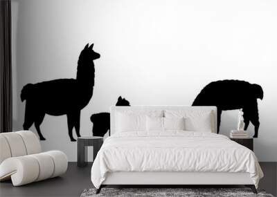 Alpaca Lama family. Silhouettes of animals Wall mural