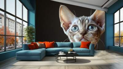 Curious Cornish Rex Kitten with Big Blue Eyes. Wall mural