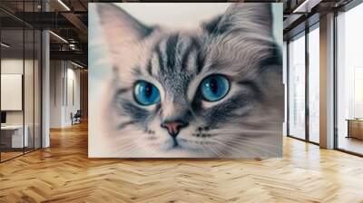 Intriguing Gaze: A captivating portrait of a Ragdoll cat with piercing blue eyes, its soft fur and delicate features exuding an air of mystery and allure.   Wall mural