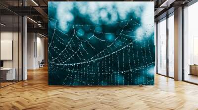 Closeup of abstract wet silk cobweb on dark night background with beautiful white bokeh. Fragile dew drops on natural spider web fibers in mystery ghostly blue moonlight in artistic detail. Halloween. Wall mural