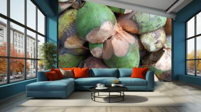 A coconut husk is a rough exterior fibrous skin of the coconut. These husks are full of fibre Wall mural