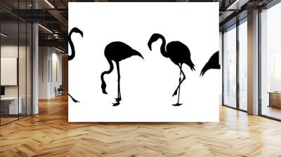 set of flamingo silhouettes Wall mural