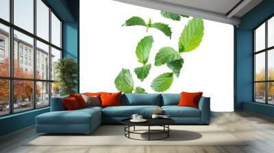 Fresh mint leaves with drops of water in the air closeup isolated on white background Wall mural