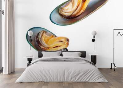 Two large mussels in shells isolated on a white background Wall mural