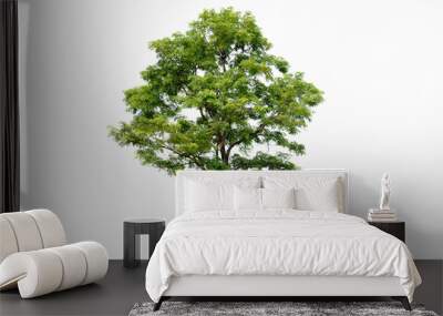 fresh tree on  white background  for architecture Wall mural