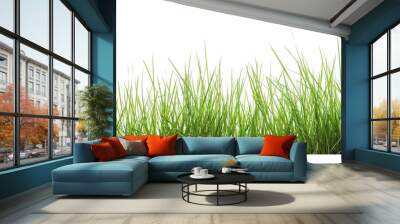 Green grass, isolated on a white background Wall mural