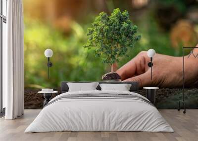 Holding a light bulb on a green tree on the background, natural energy saving concept Wall mural