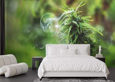 Marijuana on a blurred natural background at sunset Wall mural