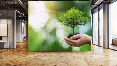 Tree planting on volunteer family's hands for eco friendly and corporate social responsibility campaign concept Wall mural