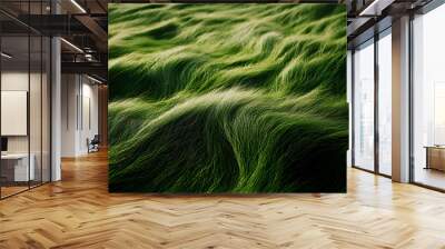 Close-up of wind-swept green grass, with soft ripples creating a natural wave across Wall mural