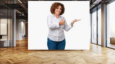 Beautiful middle ager senior businees woman over isolated background Showing palm hand and doing ok gesture with thumbs up, smiling happy and cheerful Wall mural