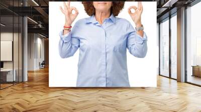 Beautiful middle ager senior businees woman wearing glasses over isolated background relax and smiling with eyes closed doing meditation gesture with fingers. Yoga concept. Wall mural