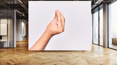 Close up of hand of young caucasian man over isolated background doing italian gesture with fingers together, communication gesture movement Wall mural