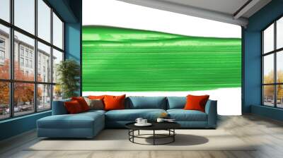 Green chroma brush stroke paiting over isolated background, canvas watercolor texture Wall mural