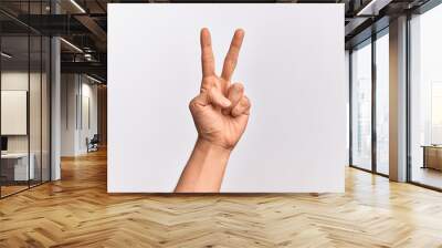 Hand of caucasian young man showing fingers over isolated white background counting number 2 showing two fingers, gesturing victory and winner symbol Wall mural