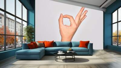 Hand of caucasian young man showing fingers over isolated white background gesturing approval expression doing okay symbol with fingers Wall mural