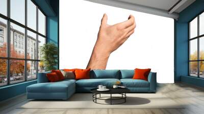 Hand of caucasian young man showing fingers over isolated white background holding invisible object, empty hand doing clipping and grabbing gesture Wall mural