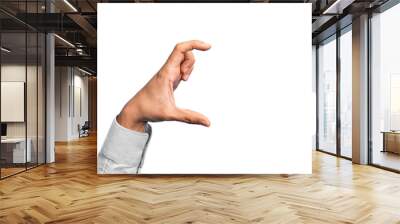 Hand of caucasian young man showing fingers over isolated white background picking and taking invisible thing, holding object with fingers showing space Wall mural