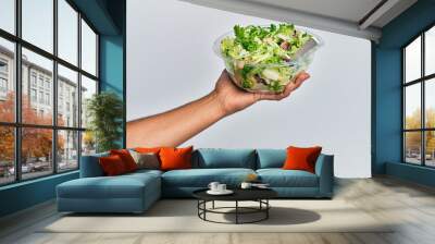 Hand of hispanic man holding bowl with salad over isolated white background. Wall mural