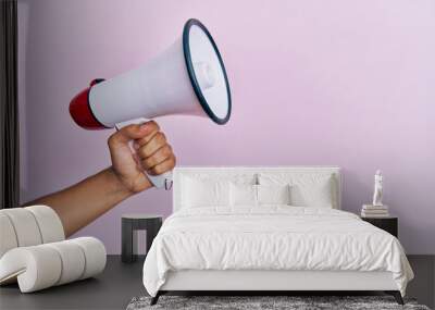 Hand of hispanic man holding megaphone over isolated pink background. Wall mural