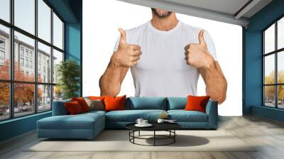 Handsome man with beard wearing casual white t shirt success sign doing positive gesture with hand, thumbs up smiling and happy. cheerful expression and winner gesture. Wall mural