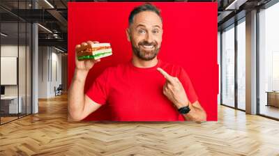 Handsome middle age man eating sandwich smiling happy pointing with hand and finger Wall mural