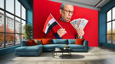 Handsome senior man with grey hair holding egypt flag and egyptian pounds banknotes depressed and worry for distress, crying angry and afraid. sad expression. Wall mural