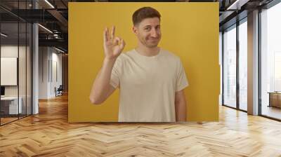 Handsome young hispanic man gesturing ok sign standing isolated over yellow background, looking attractive and confident. Wall mural