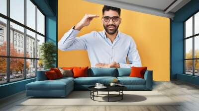 Hispanic man with beard standing over yellow background gesturing with hands showing big and large size sign, measure symbol. smiling looking at the camera. measuring concept. Wall mural