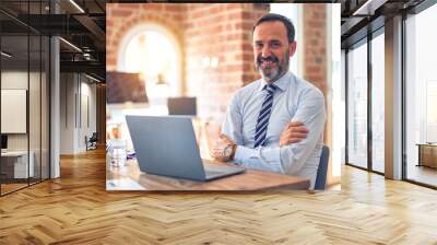 Middle age handsome businessman wearing tie sitting using laptop at the office happy face smiling with crossed arms looking at the camera. Positive person. Wall mural