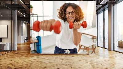 Middle age hispanic woman smiling confident training using dumbbells at home Wall mural