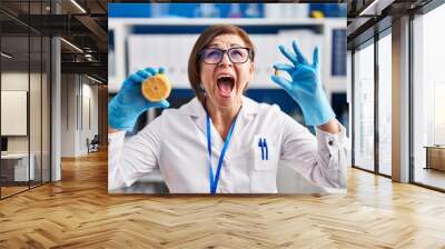 Middle age hispanic woman working at scientist laboratory making vitamin angry and mad screaming frustrated and furious, shouting with anger looking up. Wall mural