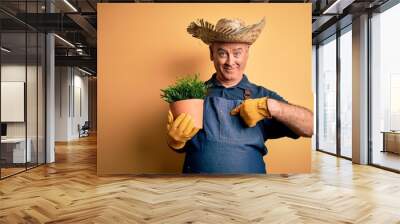 Middle age hoary farmer man wearing apron and hat holding plant pot over yellow background with surprise face pointing finger to himself Wall mural