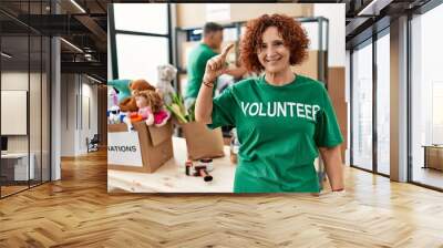 Middle age woman wearing volunteer t shirt at donations stand smiling and confident gesturing with hand doing small size sign with fingers looking and the camera. measure concept. Wall mural