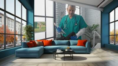 Middle-aged hispanic man veterinary professional in a clinic room examining two chihuahua dogs on a table. Wall mural