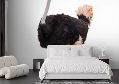 Portrait Of A Ostrich Wall mural