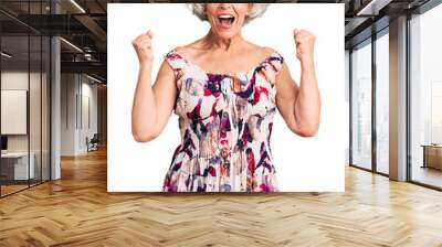 Senior grey-haired woman wearing casual clothes celebrating surprised and amazed for success with arms raised and open eyes. winner concept. Wall mural