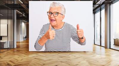 Senior grey-haired woman wearing striped navy t-shirt glasses over isolated white background pointing fingers to camera with happy and funny face. Good energy and vibes. Wall mural