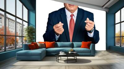 Senior man with grey hair wearing business suit and glasses doing money gesture with hands, asking for salary payment, millionaire business Wall mural