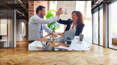 Two middle age business workers smiling happy and confident. Working together with smile on face hand giving high five at the office Wall mural