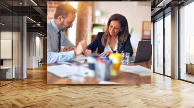 Two middle age business workers smiling happy and confident. Working together with smile on face using laptop at the office Wall mural