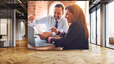 Two middle age business workers smiling happy and confident. Working together with smile on face using laptop at the office Wall mural