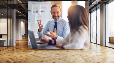 Two middle age business workers smiling happy and confident. Working together with smile on face using laptop at the office Wall mural