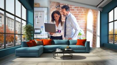 Two middle age business workers smiling happy and confident. Working together with smile on face using laptop at the office Wall mural