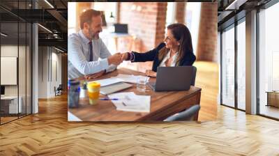 Two middle age business workers smiling happy and confident. Working together with smile on face using laptop doing handsake at the office Wall mural