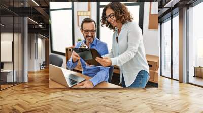 Two middle age business workers smiling happy working at the office. Wall mural