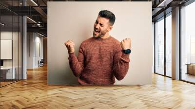 Young handsome man wearing casual sweater standing over isolated white background very happy and excited doing winner gesture with arms raised, smiling and screaming for success. Celebration concept. Wall mural