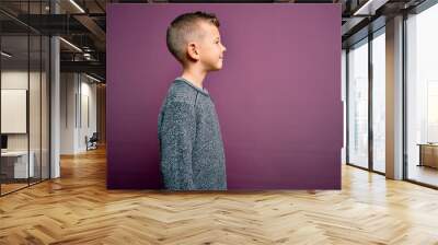 Young little caucasian kid with blue eyes wearing winter sweater standing over purple background looking to side, relax profile pose with natural face with confident smile. Wall mural